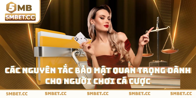 Tìm hiểu về chính sách bảo mật và các nguyên tắc