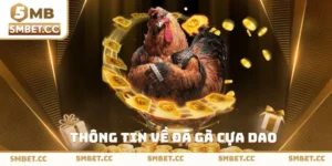 Tìm hiểu về đá gà cựa dao tại 5mb