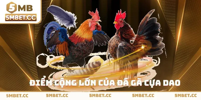 Điểm cộng ấn tượng của loại hình đá gà cựa dao