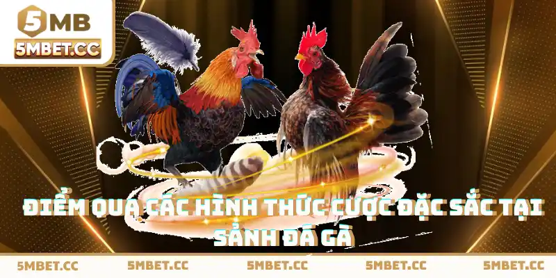 Điểm qua các hình thức cược đặc sắc tại sảnh đá gà