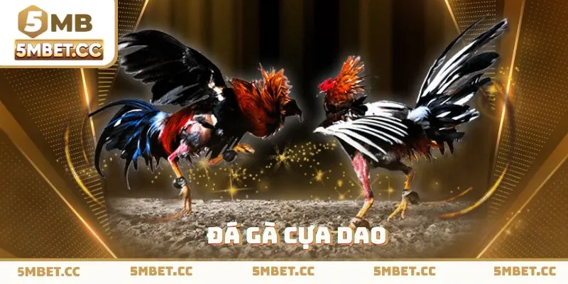 Loại hình chọi cựa dao