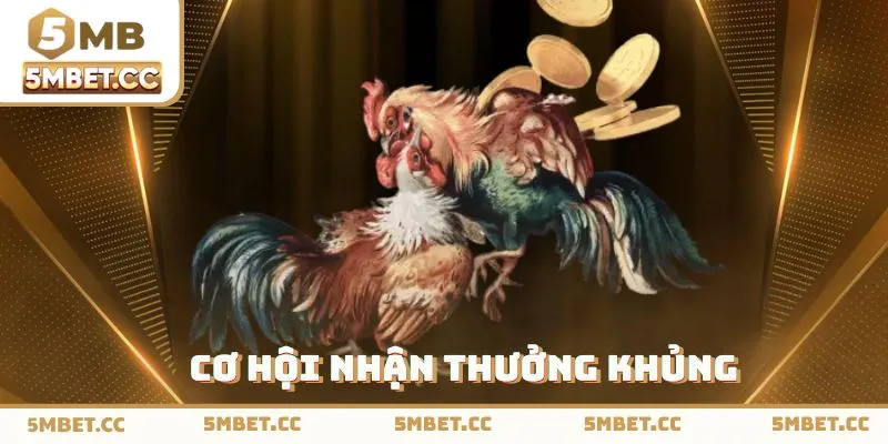 Nhận thưởng khủng ngay sau khi thắng cược đá gà