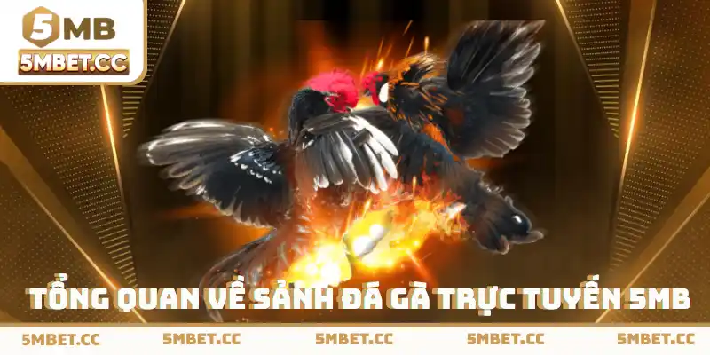 Tổng quan về sảnh đá gà trực tuyến